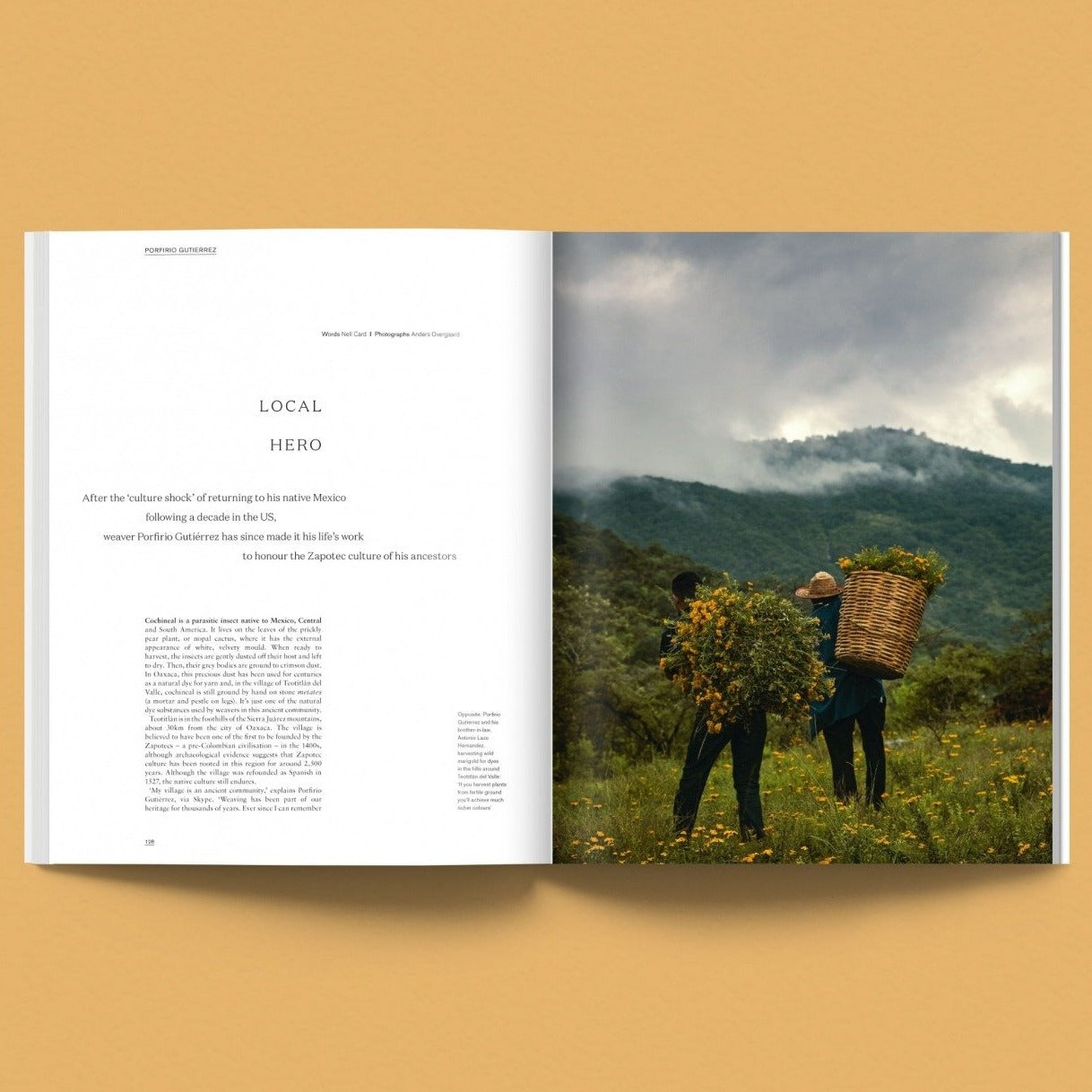 Issue 16: Nest (Afternoon)