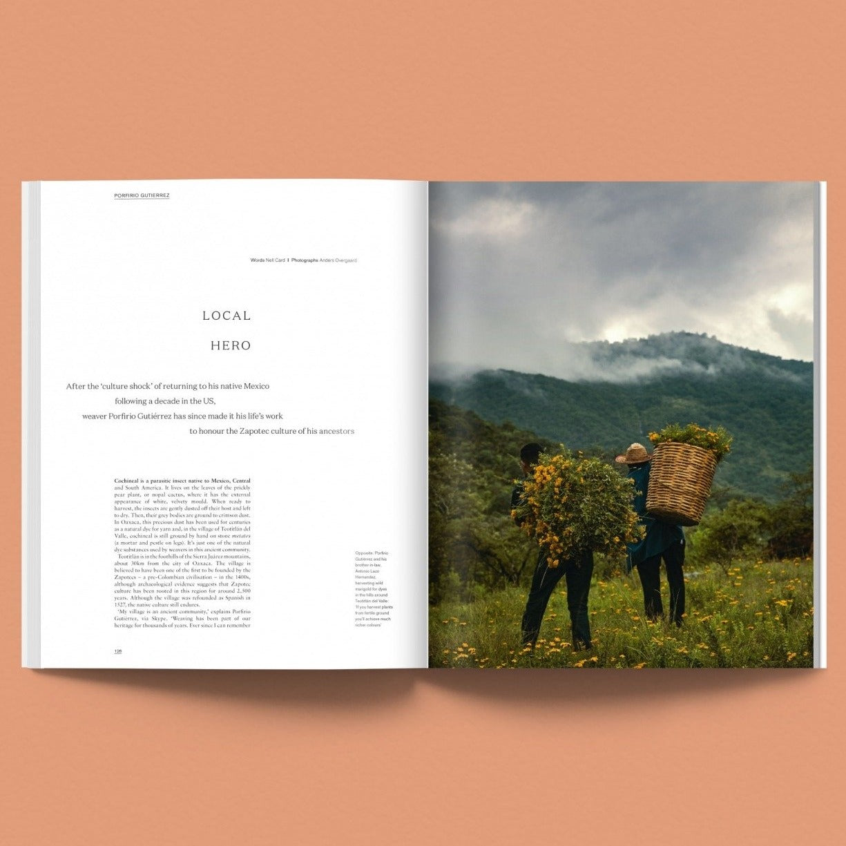 Issue 16: Nest (Midday)
