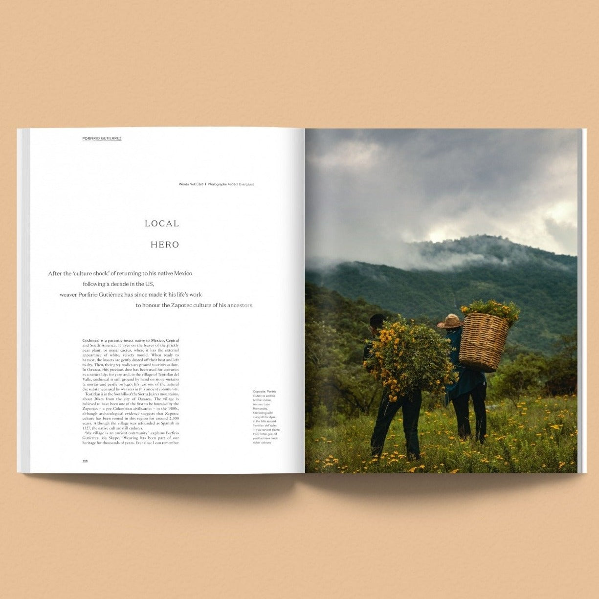 Issue 16: Nest (Morning)