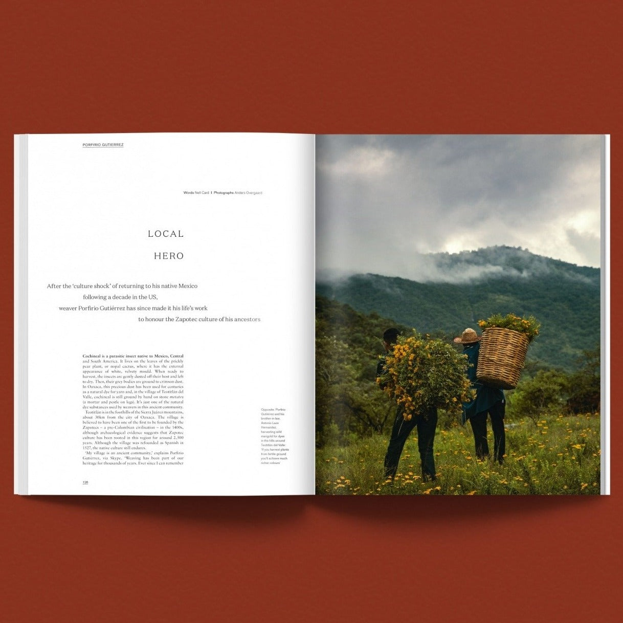 Issue 16: Nest (Evening)